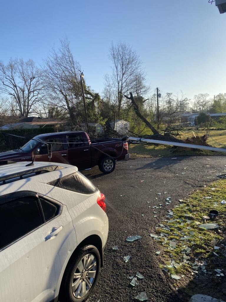 picture of cars, trees, and broken glass