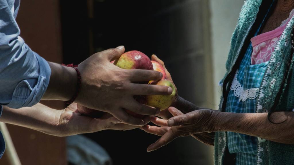picture of hands giving fruit